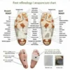KINOKI Koyo Detox Kaki Herbal Isi 10 Pads – Penyerapan Racun Tubuh Insomnia Nyeri & Lelah Hilang - Gambar 2