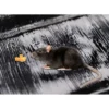 Lem Perangkap Tikus Jumbo Super Lengket 60/120cm – Sticky Trap Pembasmi Hama Tikus Ampuh - Gambar 4