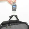 Timbangan Gantung Digital WH-A08 – Mini Portable Scale 50kg Untuk Koper, Buah, Barang - Gambar 3